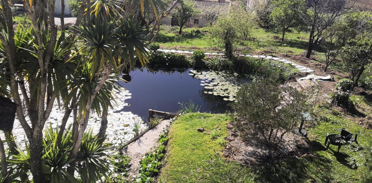 Quinta Do Soldado Villa Albergaria-a-Velha Buitenkant foto