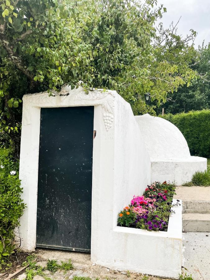 Quinta Do Soldado Villa Albergaria-a-Velha Buitenkant foto