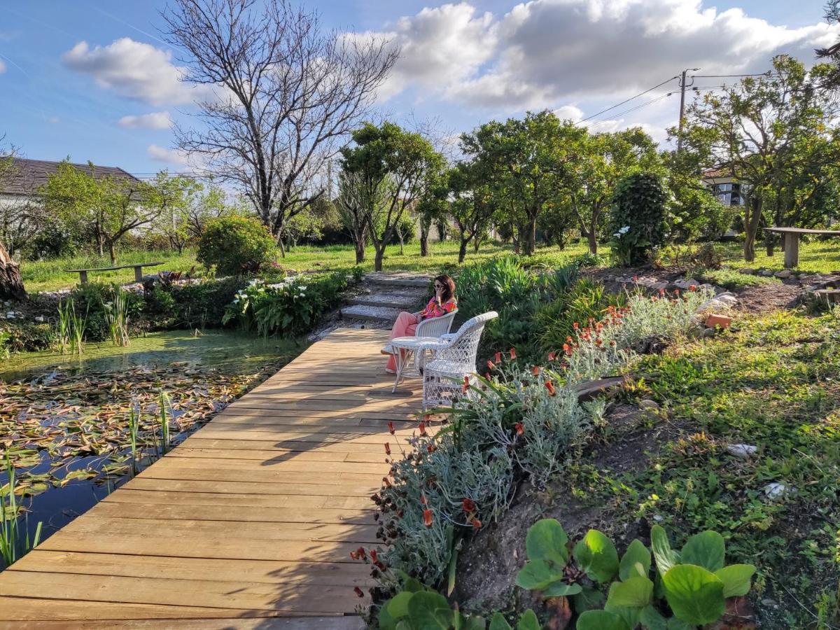 Quinta Do Soldado Villa Albergaria-a-Velha Buitenkant foto